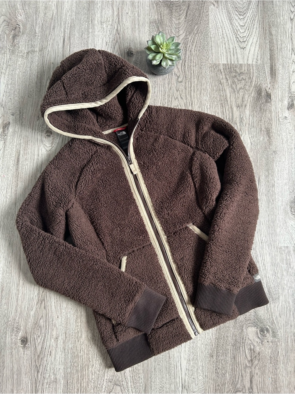 The North Face High-Pile Teddy Sherpa Fleece Hoodie - Women's Small